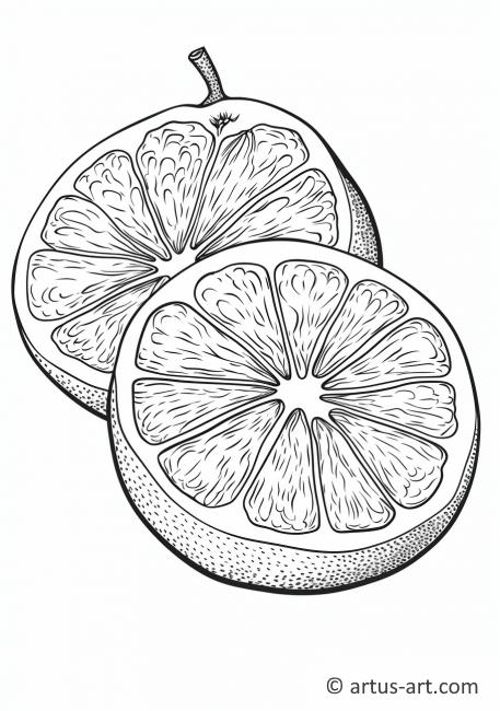 Página para colorear de rodaja de pomelo